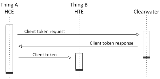 IoT Payment process - client token request